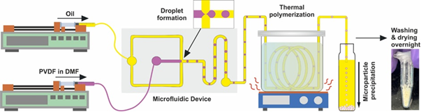 PVDF microparticles